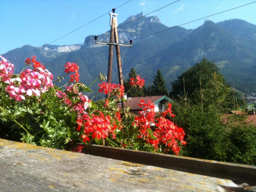 Pension Larchenhof Maurach  Rum bild